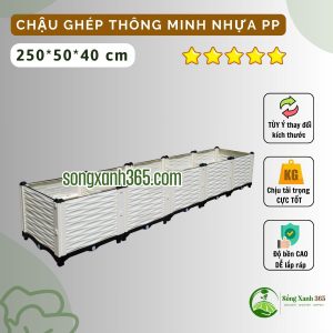 Chậu trồng rau thông minh nhựa PP
