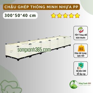 Chậu trồng rau thông minh nhựa PP