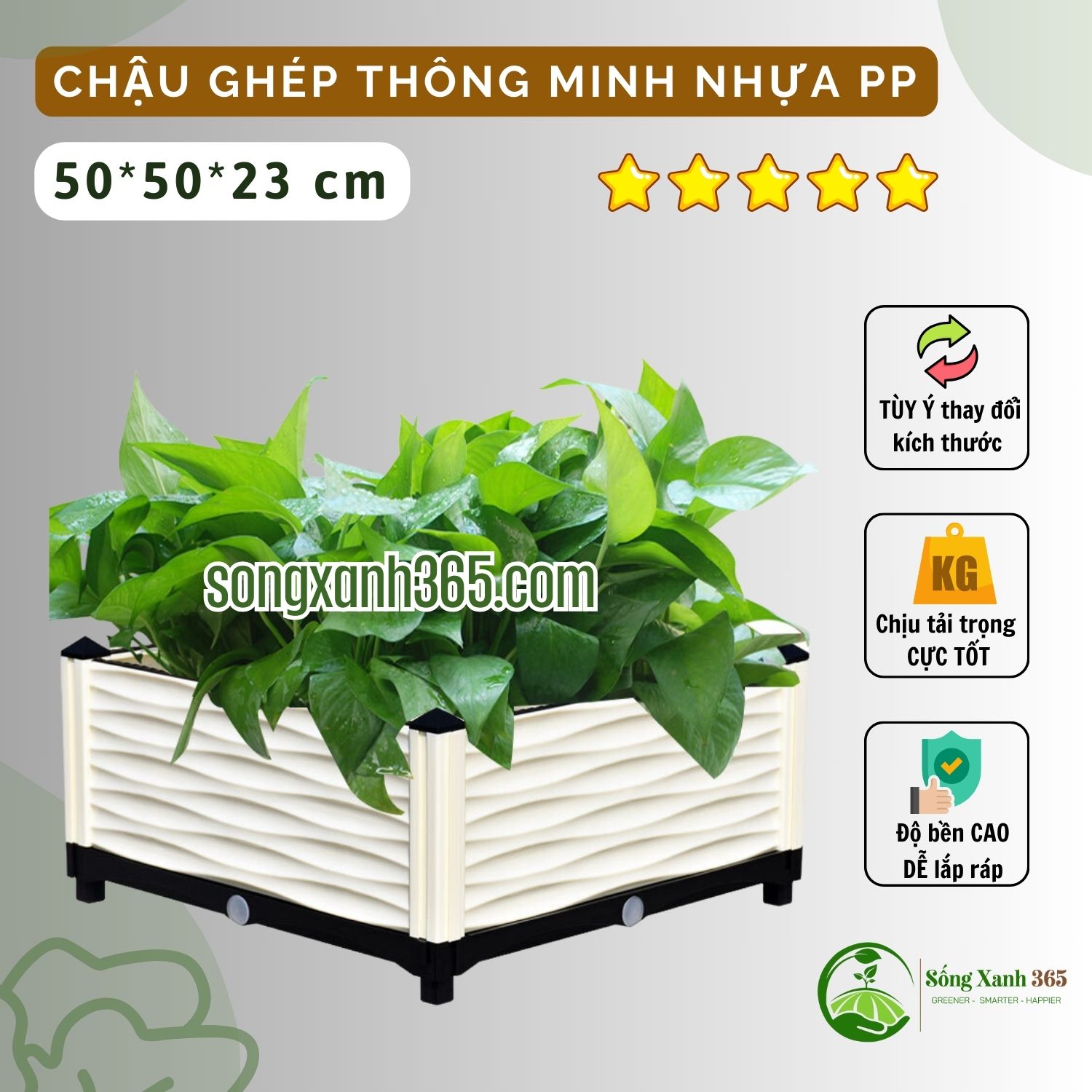 chậu trồng rau PP 505023 (2) chậu ghép trồng rau PP Trắng