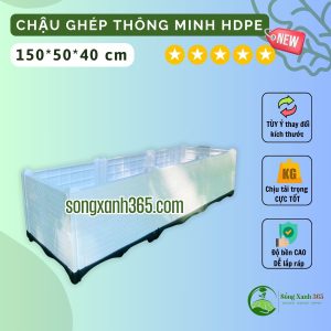 chậu ghép trồng rau hdpe trắng cao 2 vách