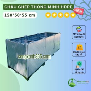 chậu trồng cây leo giàn, cây ăn quả