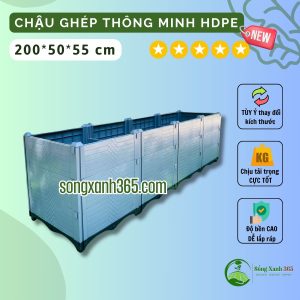 chậu trồng cây leo giàn, cây ăn quả