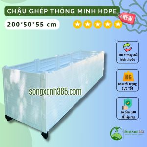 chậu trồng cây leo giàn, cây ăn quả