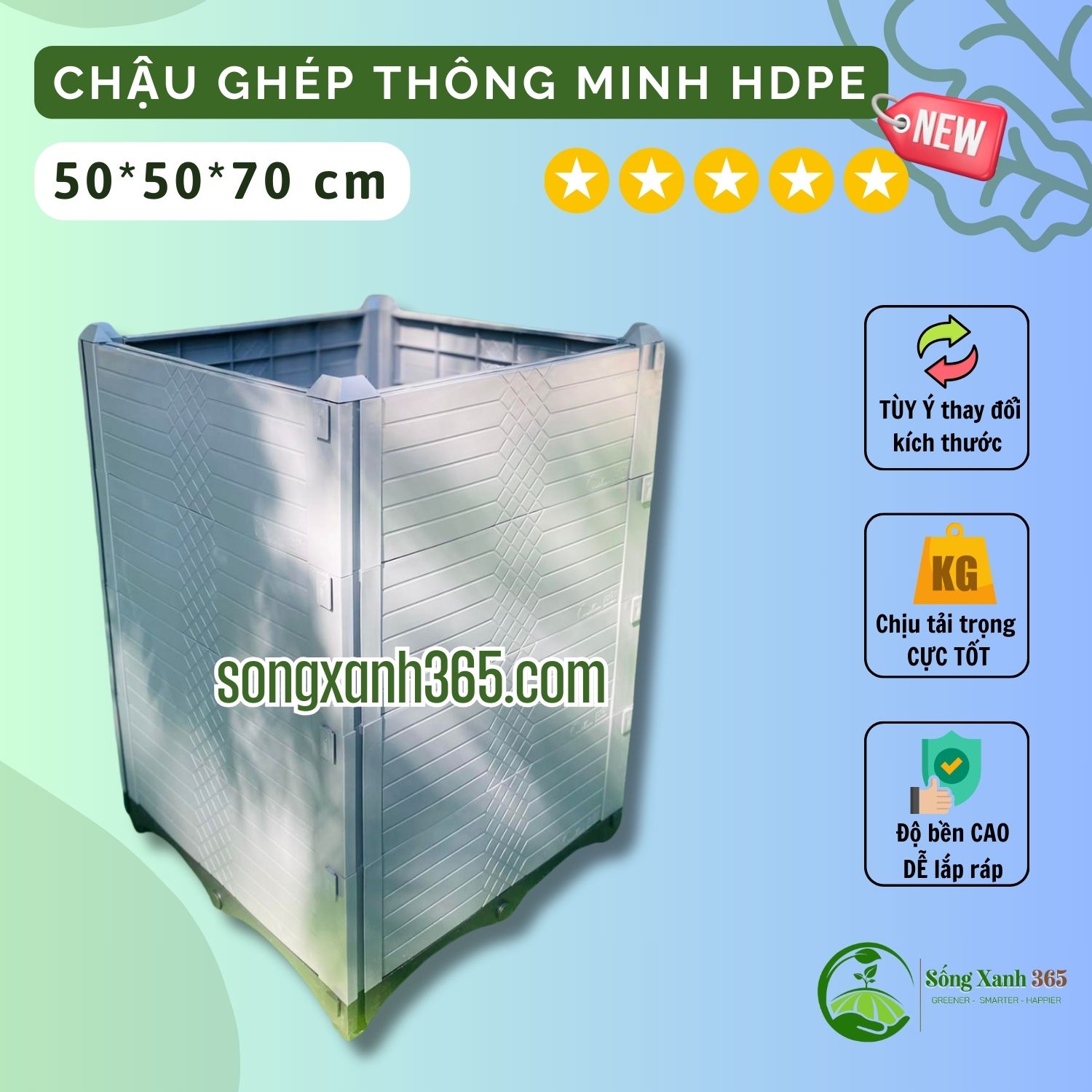 chậu trồng rau hdpe 505070 (2) Chậu ghép trồng cây ăn quả