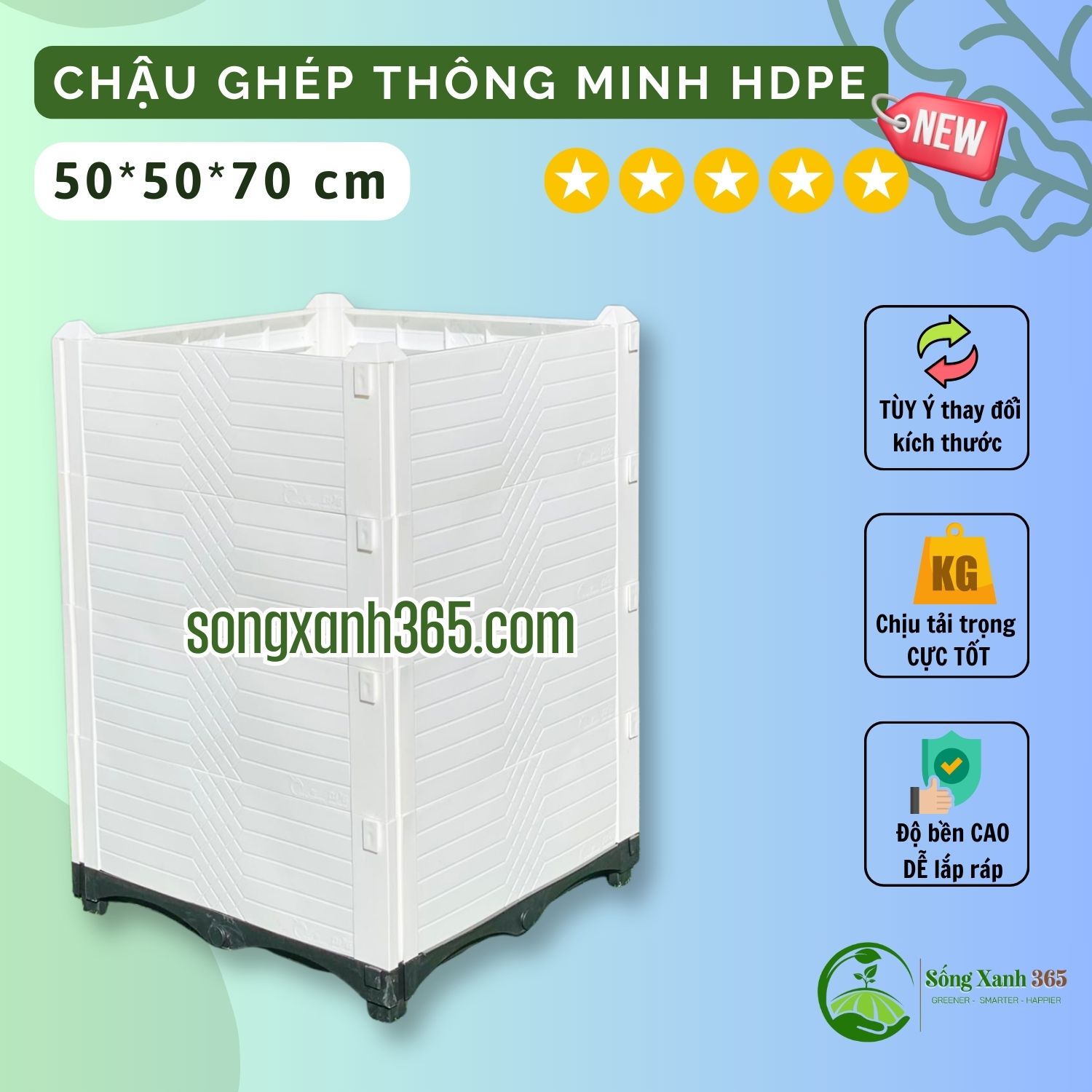 chậu trồng rau hdpe 505070 Chậu ghép trồng cây ăn quả