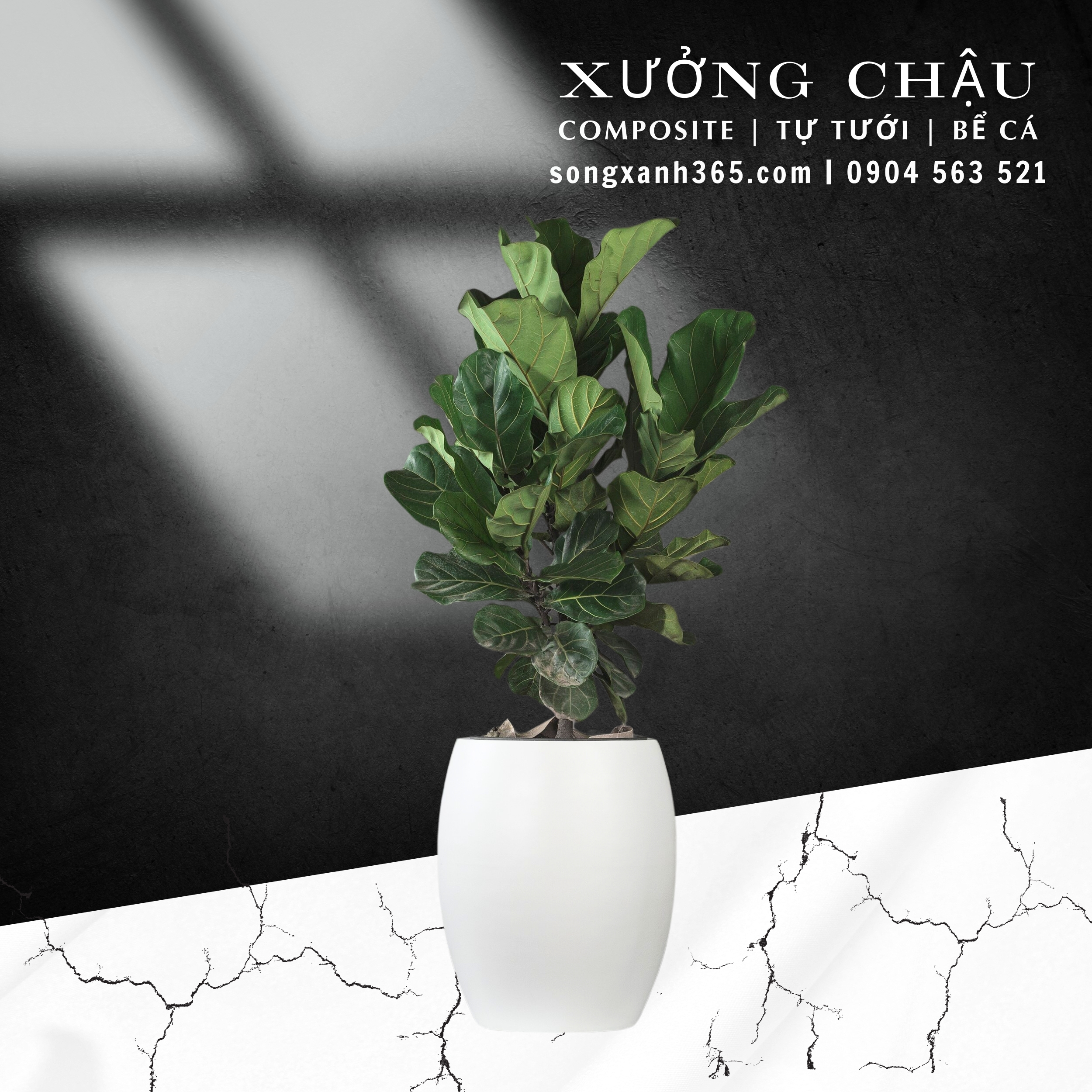 chau-cay-composite-fiberglass-songxanh365 (28) Chậu composite cao cấp Hạnh Phúc