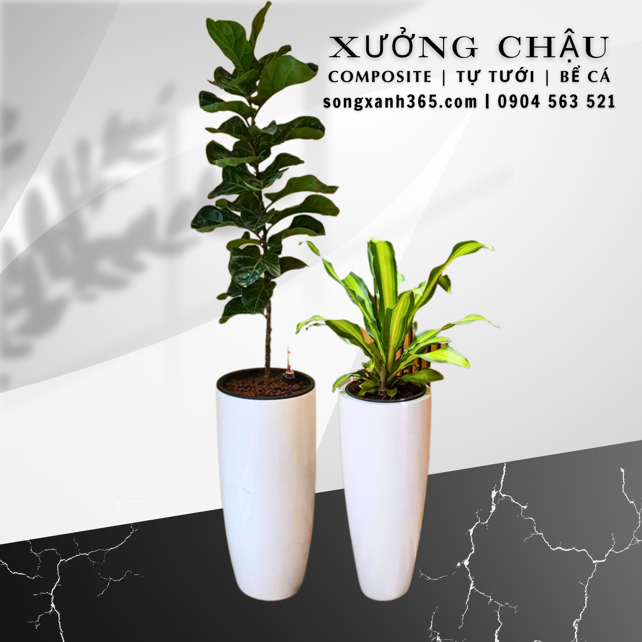 chau-trong-cay-composite-fiberglass-song-xanh-365 (6) Chậu composite Phú Quý