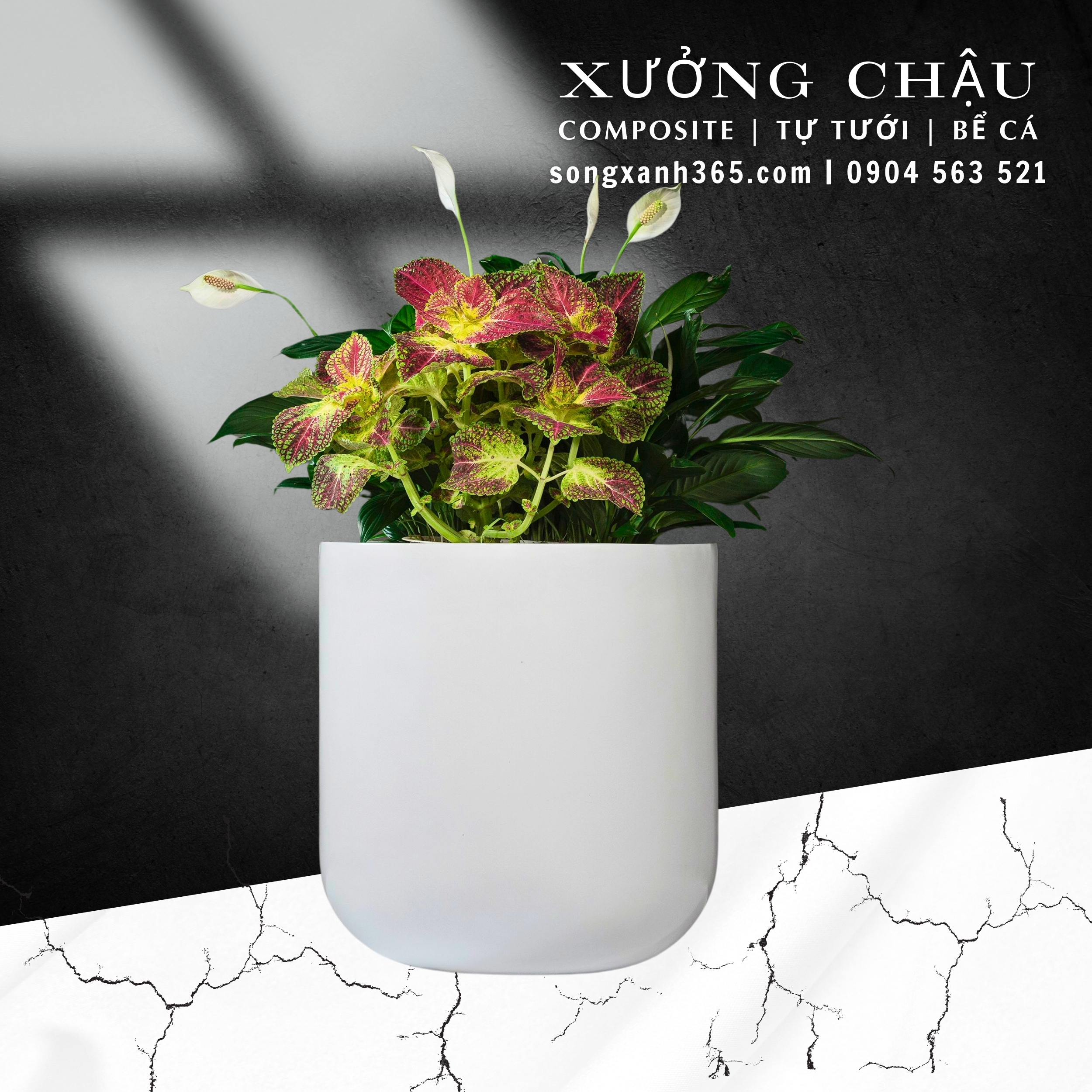 chau-cay-composite-fiberglass-songxanh365 (38)