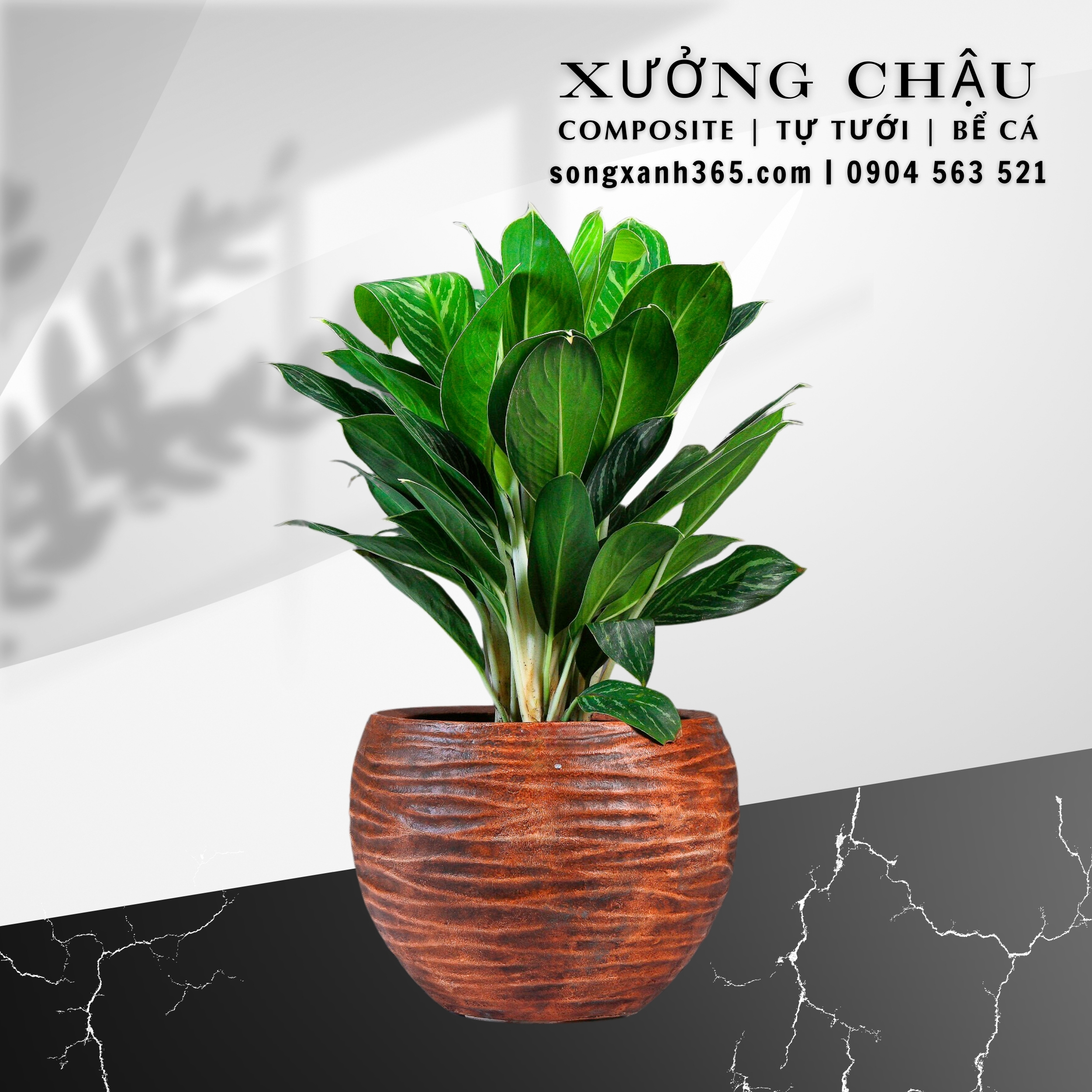 chau-cay-composite-fiberglass-songxanh365 (62) Chậu trồng cây composite cao cấp an khang