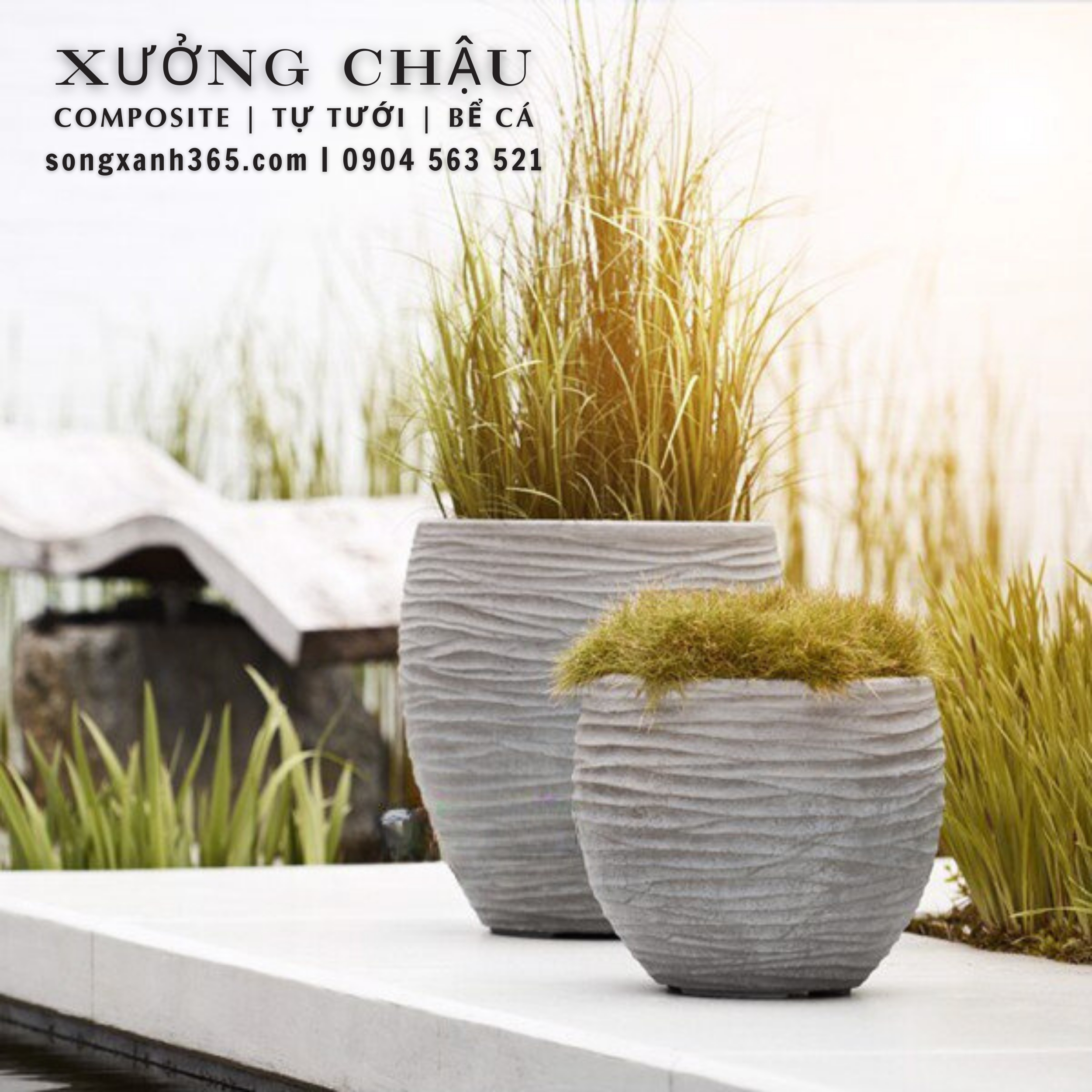 chau-trong-cay-composite-fiberglass-song-xanh-365 (31) Chậu trồng cây composite cao cấp an khang