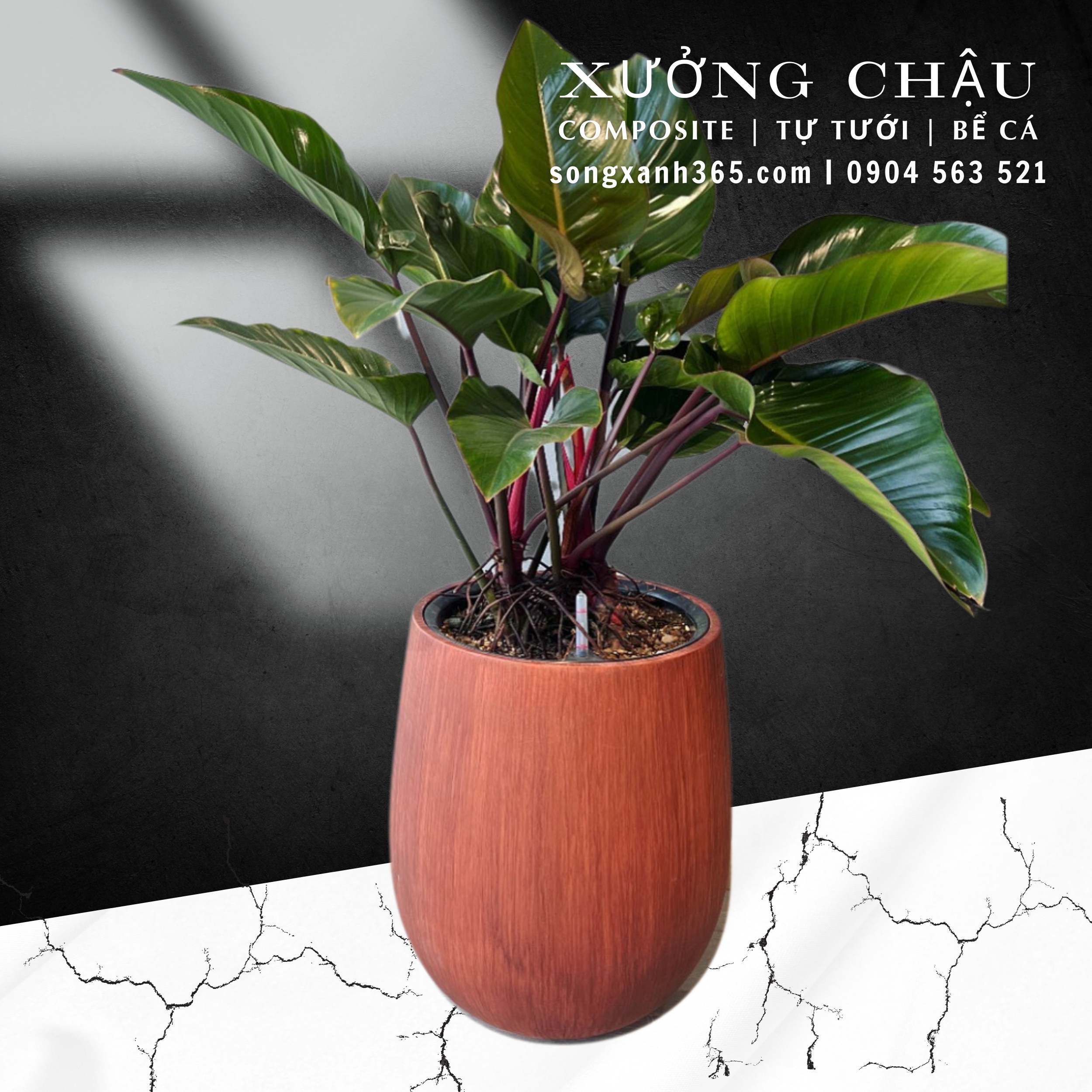 chau-trong-cay-composite-fiberglass-song-xanh-365 (34)