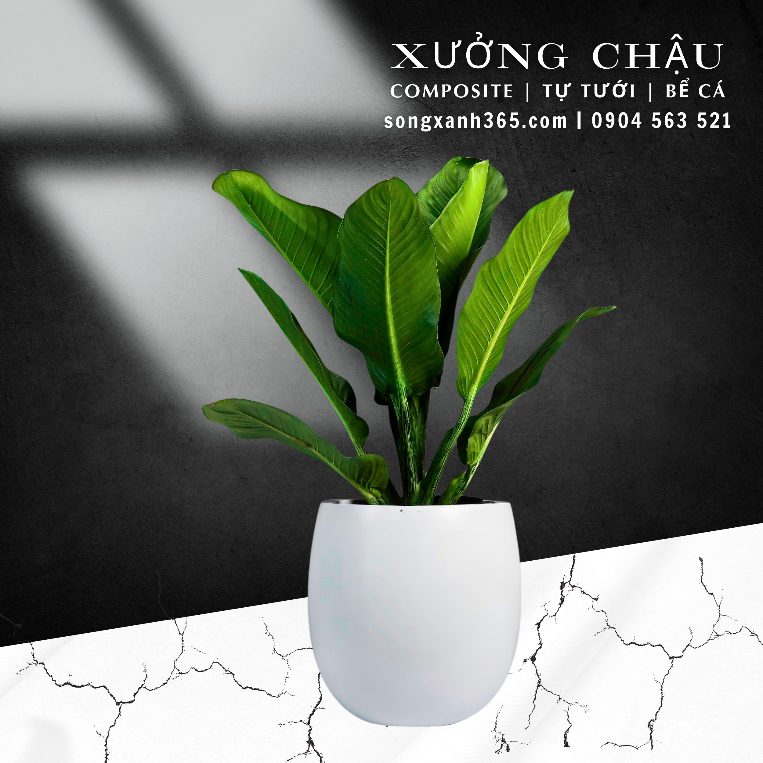 chau-cay-composite-fiberglass-songxanh365 (15) chậu composite cao cấp kim khánh