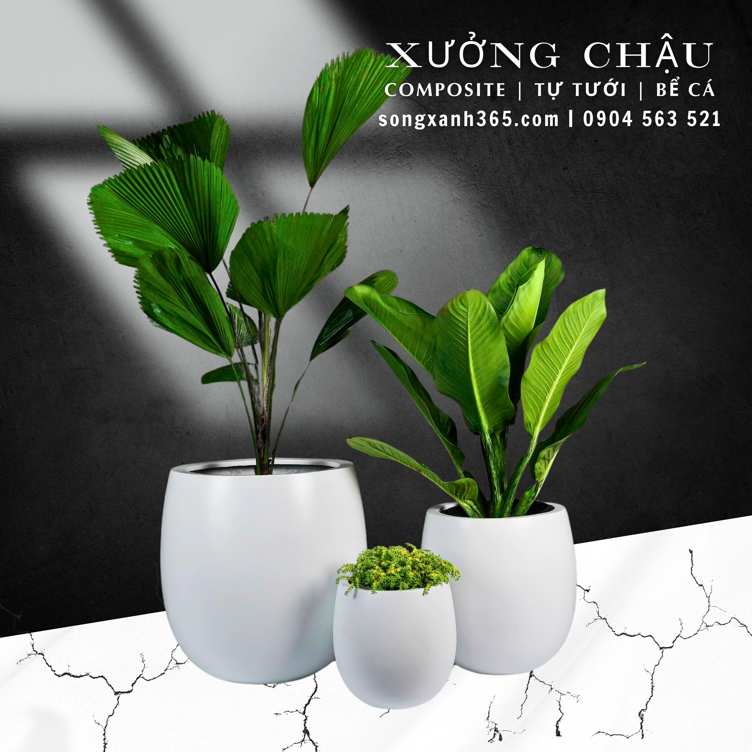 chau-cay-composite-fiberglass-songxanh365 (18) chậu composite cao cấp kim khánh