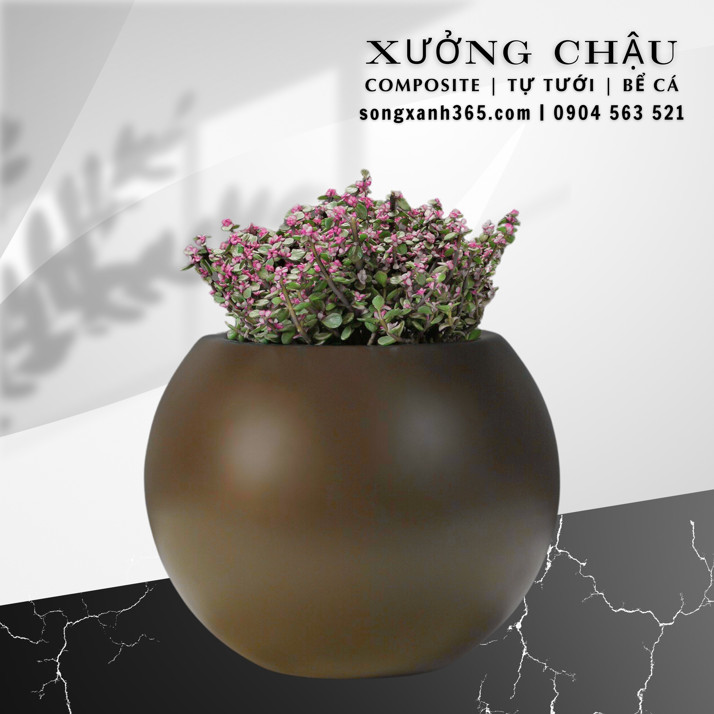 chau-cay-composite-fiberglass-songxanh365 (49) Chậu trồng cây composite cao cấp Phúc Lộc