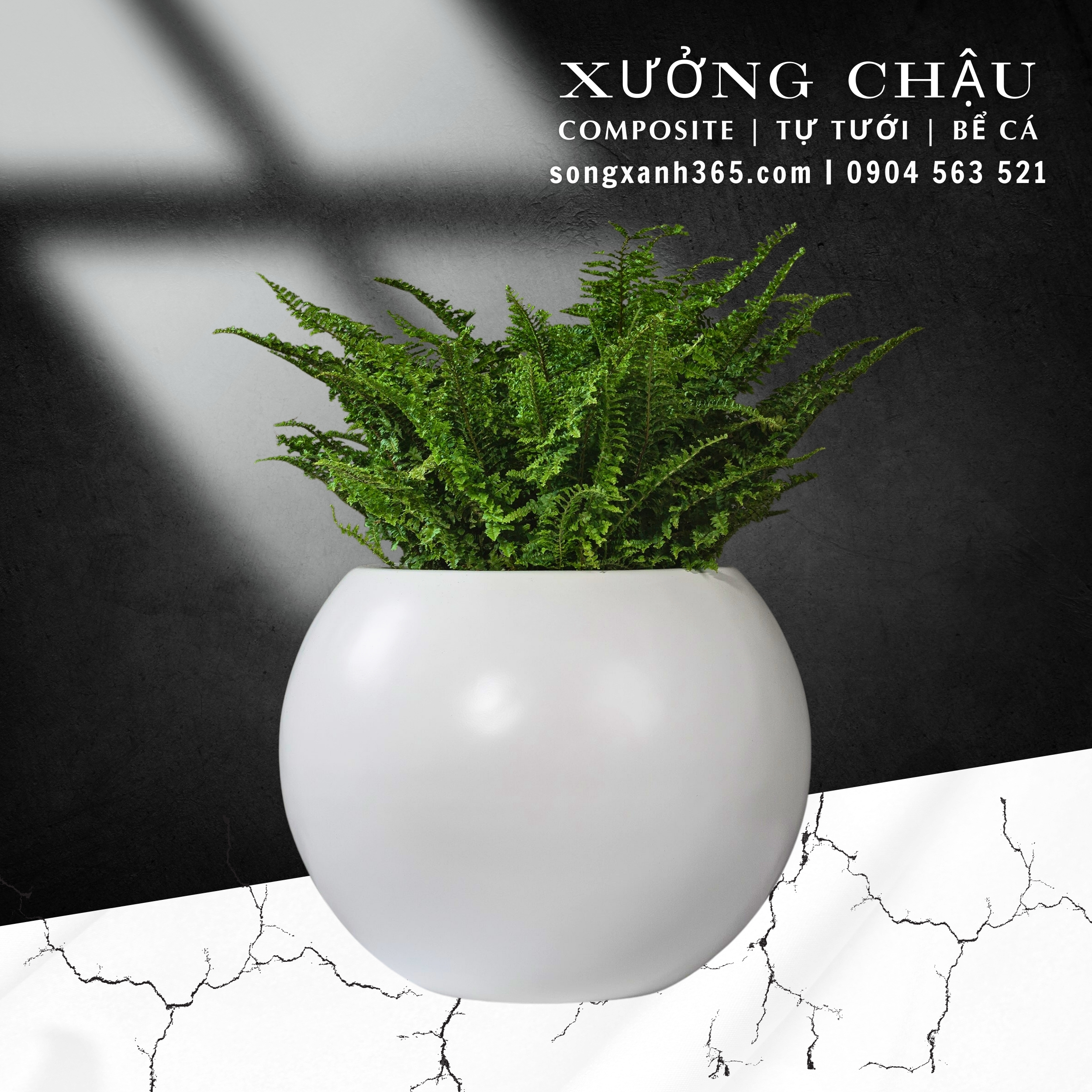 chau-cay-composite-fiberglass-songxanh365 (7) Chậu trồng cây composite cao cấp Phúc Lộc