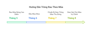 lịch trồng rau theo tháng 5, 6, 7, 8 tại miền bắc