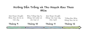 lịch trồng rau tháng 9, 10, 11, 12