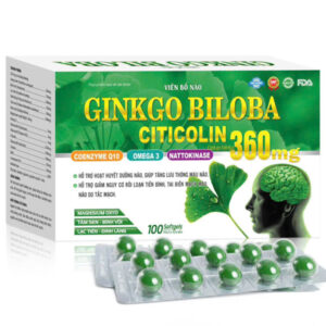 GINKGO BILOBA CITICOLIN 360 100V