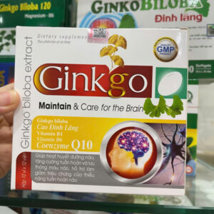 GINKGO MAINTAIN 100V