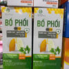 Siro bổ phổi cao lá thường xuân 100ml