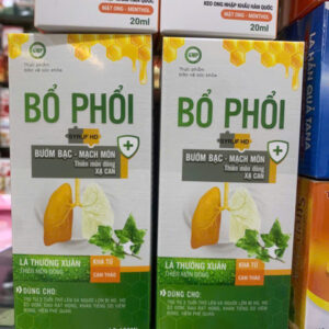 Siro bổ phổi cao lá thường xuân 100ml