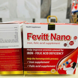 FEVITT NANO 100V