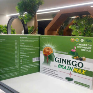 Ginkgo Brain Max