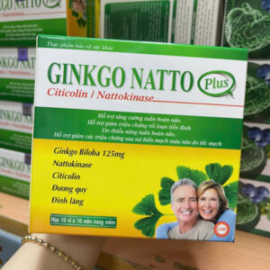 GINKO NATTO PLUS 100V